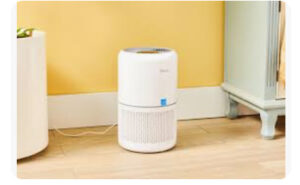 Air Purifiers
